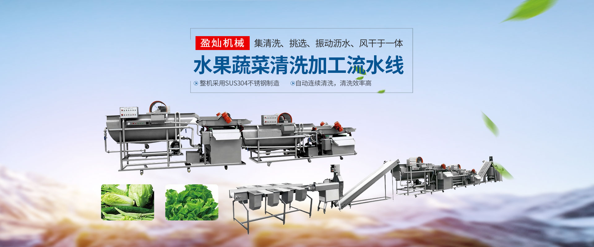 蔬菜清洗流水线